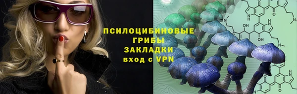 ГАЛЛЮЦИНОГЕННЫЕ ГРИБЫ Магас