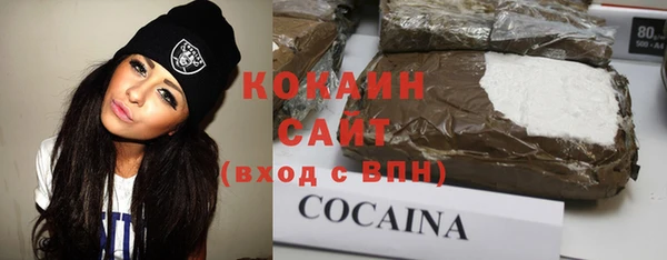 ГАЛЛЮЦИНОГЕННЫЕ ГРИБЫ Магас
