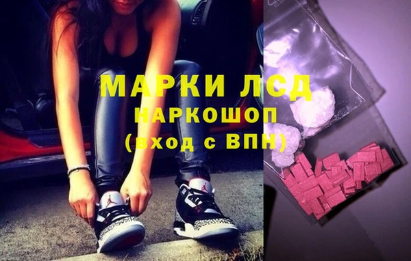 ГАЛЛЮЦИНОГЕННЫЕ ГРИБЫ Магас