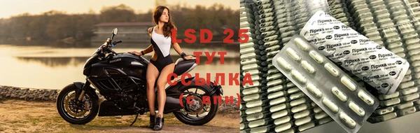 эйфоретик Липки