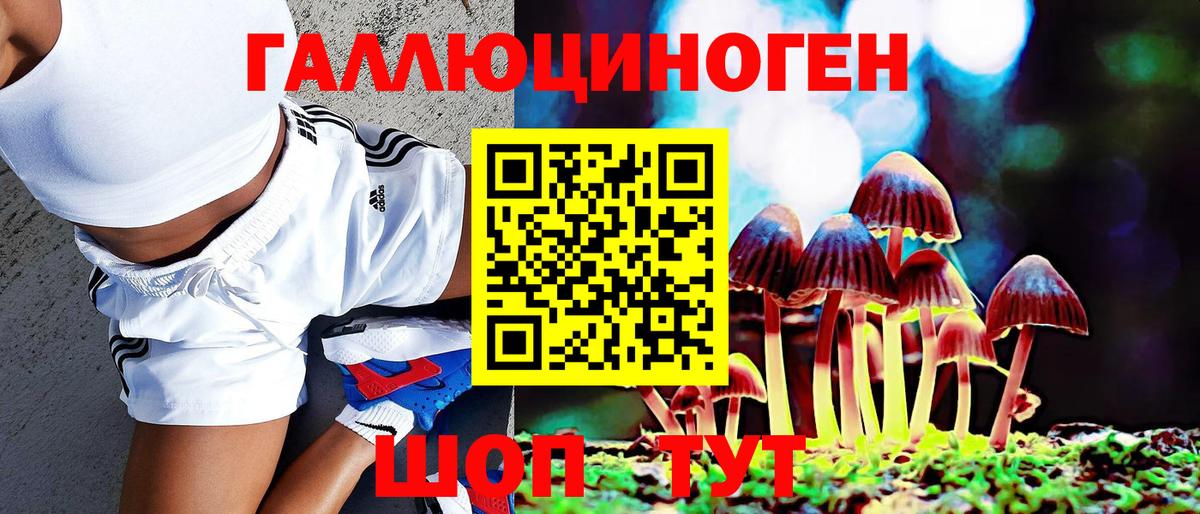 Галлюциногенные грибы мухоморы Ачинск