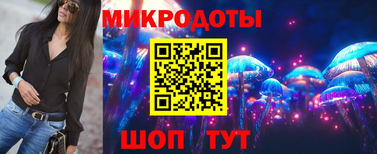 Псилоцибиновые грибы Psilocybine cubensis Ачинск